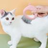Cat Detangling Brush view 2