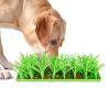 Snuffle Mat, Silicone Grass Mat, Silicone Snuffle Grass Pad view 1