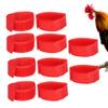 10 Pack Anti-Crow Chicken Collar view 3