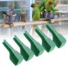Restokki 5-Pack Bird Feeding Spoon view 4
