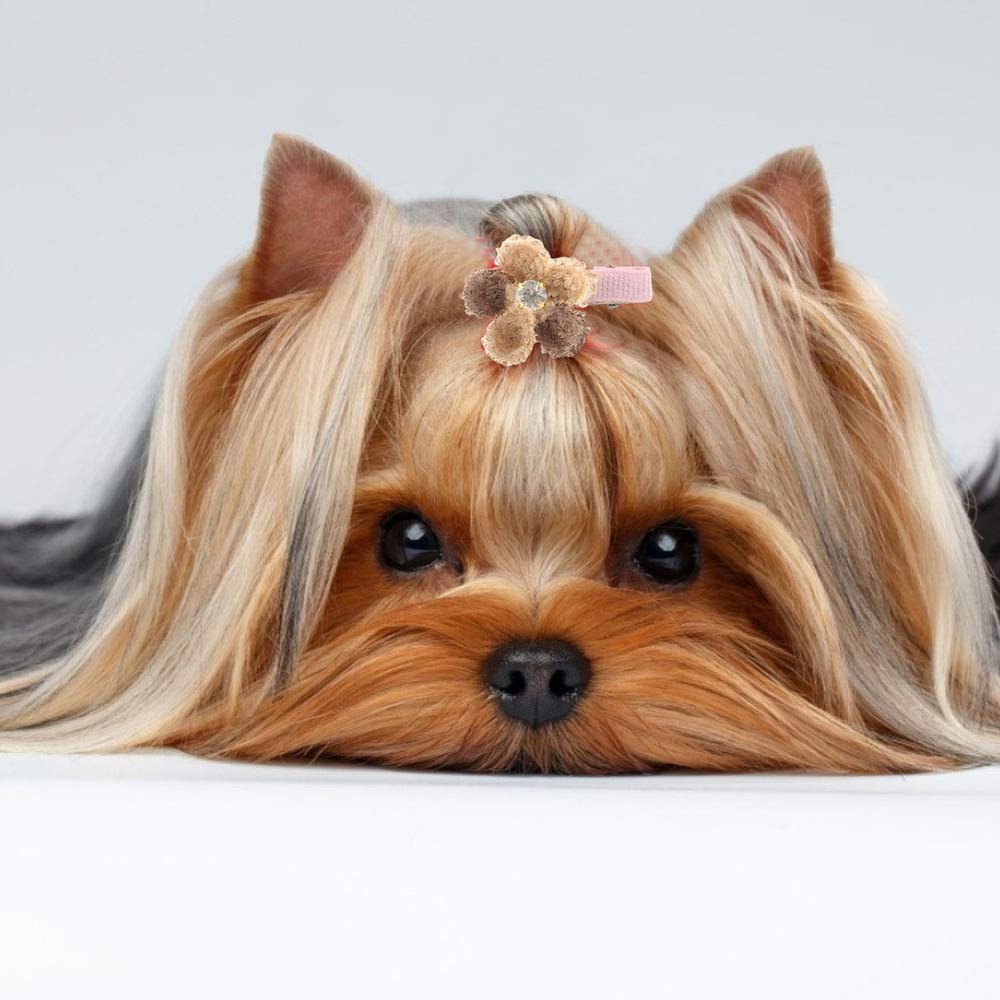 TIKATARER Dog Hair Clips, 10 Pack