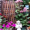 Beauty Comes Telescoping Wooden Fence, Privacy Screen and Trellis, 120 x 50 cm view 4