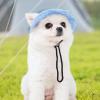 Dog Sun Hat for Small Dogs view 2