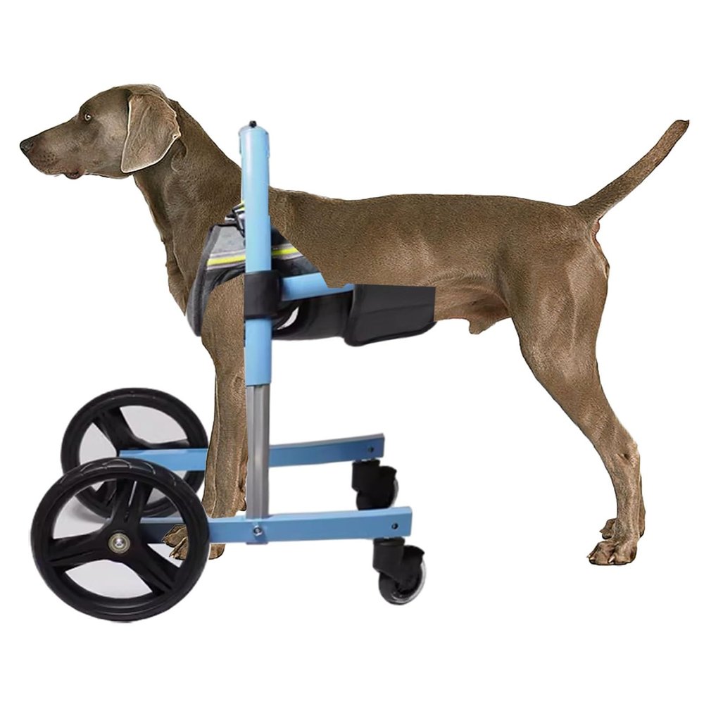 Elitix Front-Leg Dog Wheelchair for Small, Medium, and Large Dogs (XXL)