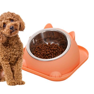Elevated Cat Bowl, Slanted Stainless Steel Pet Dish