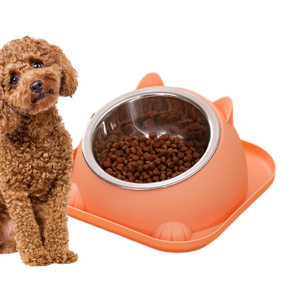 Elevated Cat Bowl, Slanted Stainless Steel Pet Dish