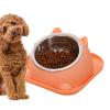 Elevated Cat Bowl, Slanted Stainless Steel Pet Dish view 1