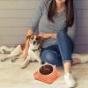 Elevated Cat Bowl, Slanted Stainless Steel Pet Dish view 2