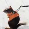 HANABASS Hamster Harness and Leash view 3