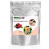 Gino Gelati Yogurt Ice Cream Powder, Forest Berry, 10 kg view 1