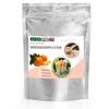 Gino Gelati Yogurt Ice Cream Powder, Tangerine Yogurt, 10 kg view 1