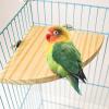 Fan-Shaped Wooden Bird Platform for Parrots view 2