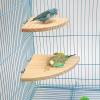 Fan-Shaped Wooden Bird Platform for Parrots view 3