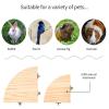 Fan-Shaped Wooden Bird Platform for Parrots view 4