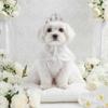 Lovelyshop Pink Gemstone Gold Rhinestone Tiara Crown for Dogs/Cats, Costume Hair Accessory, Medium view 2