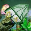 Aquarium Net - Soft, Fine-Mesh Shrimp Net with Long Handle view 2