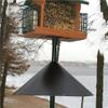 Bird Cage Sound Barrier view 4