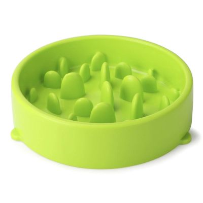 Pet Slow-Feeder Dog Bowl, Anti-Choking, 2-Piece Set, Green