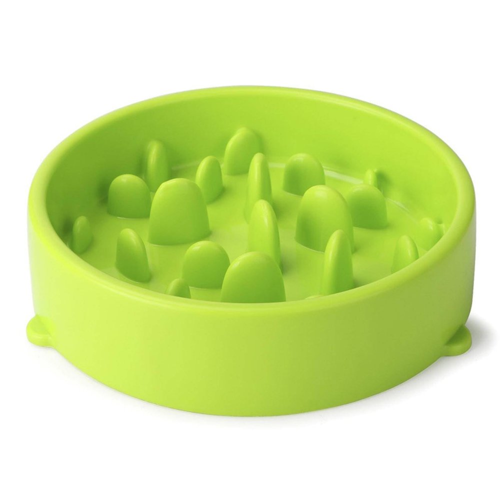 Pet Slow-Feeder Dog Bowl, Anti-Choking, 2-Piece Set, Green