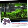 BCOATH Betta Leaf Hammock with Suction Cup view 2