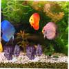 BCOATH Betta Leaf Hammock with Suction Cup view 3