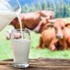 Jeden Tag Shelf-Stable Whole Milk, 3.5% Fat, 1,000 mL, 12-Pack view 3