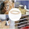 Hamster Sand Bath Box with Lid view 4
