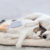 Fukamou Pet Hair Remover view 2