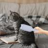Fukamou Pet Hair Remover view 3