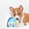 Dog Ball, Disc Ball for Large Dogs - Outdoor Dog Toy view 2