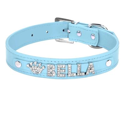 Personalized Dog & Cat ID Collar, Blue, 11.5–15 in