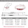 Personalized Dog & Cat ID Collar, Blue, 11.5–15 in view 2