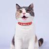 Personalized Dog & Cat ID Collar, Blue, 11.5–15 in view 4