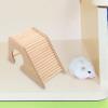HiyyFloy Hamster Ladder Bridge Climbing Toy, Small Animal Habitat Decor view 3