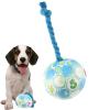 Generic Disc Ball for Large Dogs view 1
