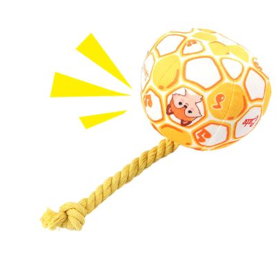 Jolly Ball for Dogs