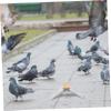 Stainless Steel Bird Perch for Birds and Parrots, Silver view 3