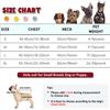 Dog Harness for Small Dogs, Orange, Size L view 2