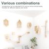 RTTZBOZ Cat Wall Climbing Set with Scratching Post view 3