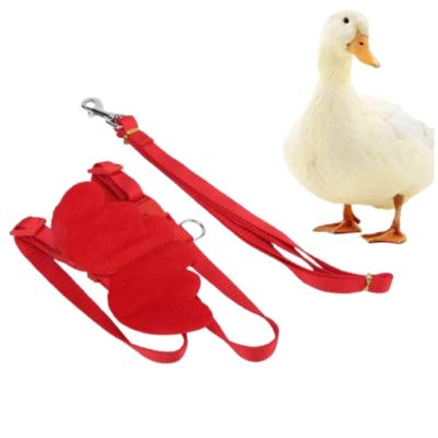 Duck Harness with Adjustable Chest Strap