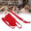 Duck Harness with Adjustable Chest Strap view 3