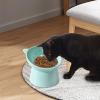 Ergonomic Cat Bowl view 2