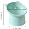 Ergonomic Cat Bowl view 4