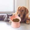 Ergonomic Cat Bowl view 3