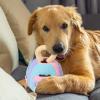 Tuxxjzm Squeaky Plush Ball for Dogs view 2