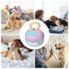 Tuxxjzm Squeaky Plush Ball for Dogs view 4