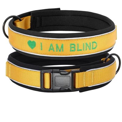 Personalized Nylon Dog Collar, Reflective Embroidered ID Name Collar, Gold, M