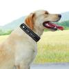 Personalized Nylon Dog Collar, Reflective Embroidered ID Name Collar, Gold, M view 4