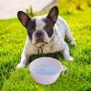 Foldable Dog Bowl view 2