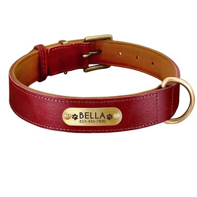 Personalized Dog Collar with Engraved Nameplate, Red, 2XL (20–25 in)